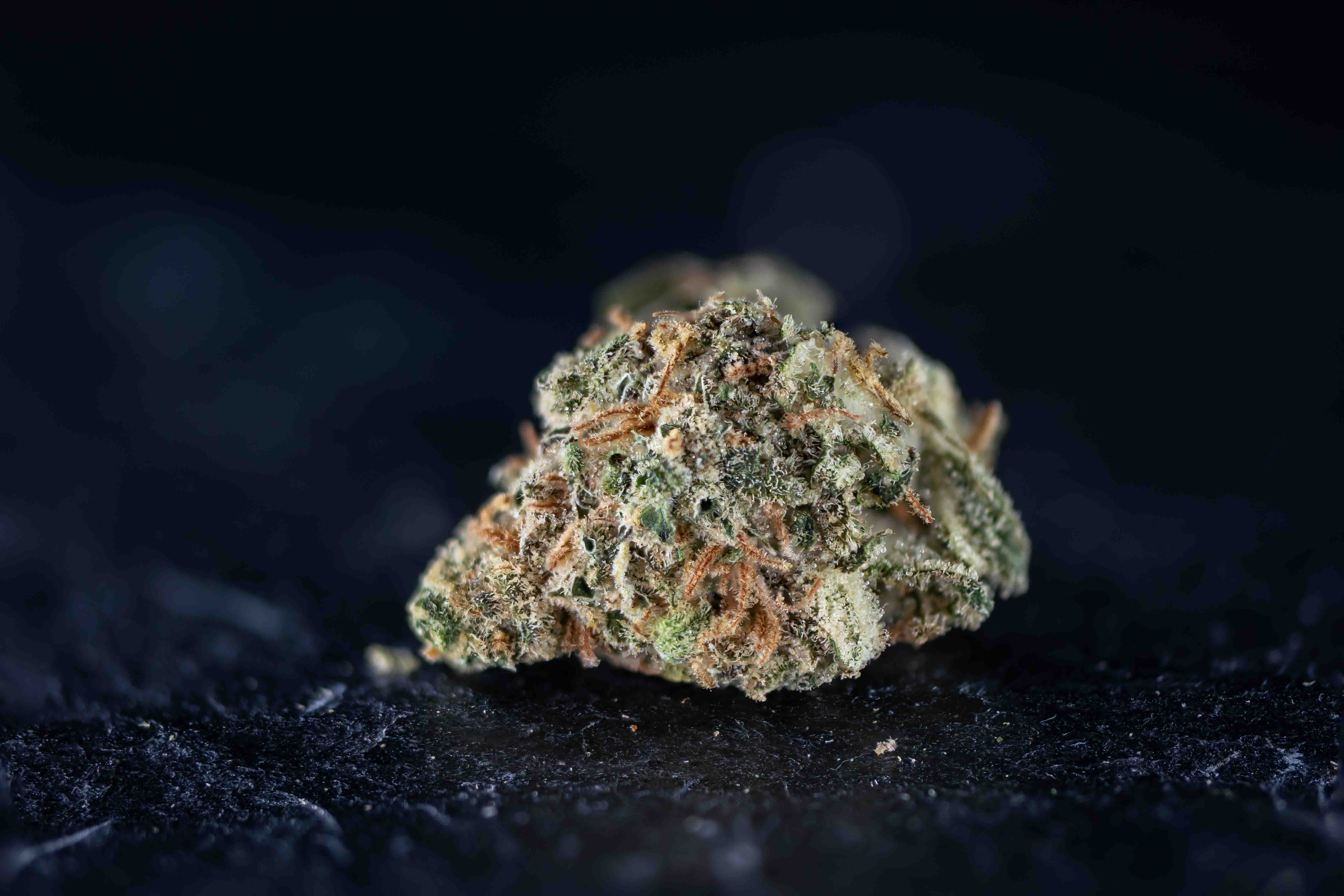 Lemon Haze cannabis strain