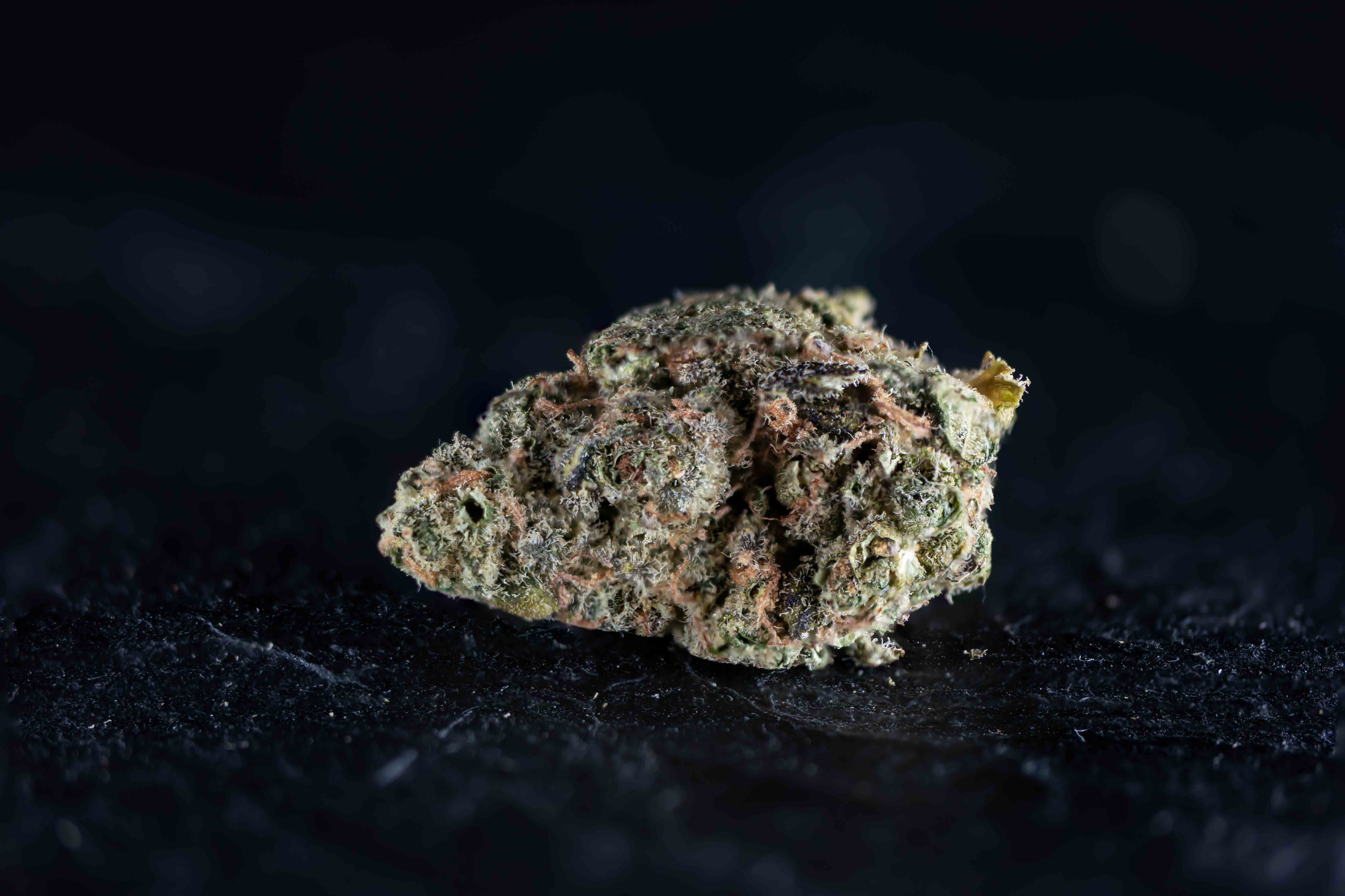 Strawberry Haze cannabis strain