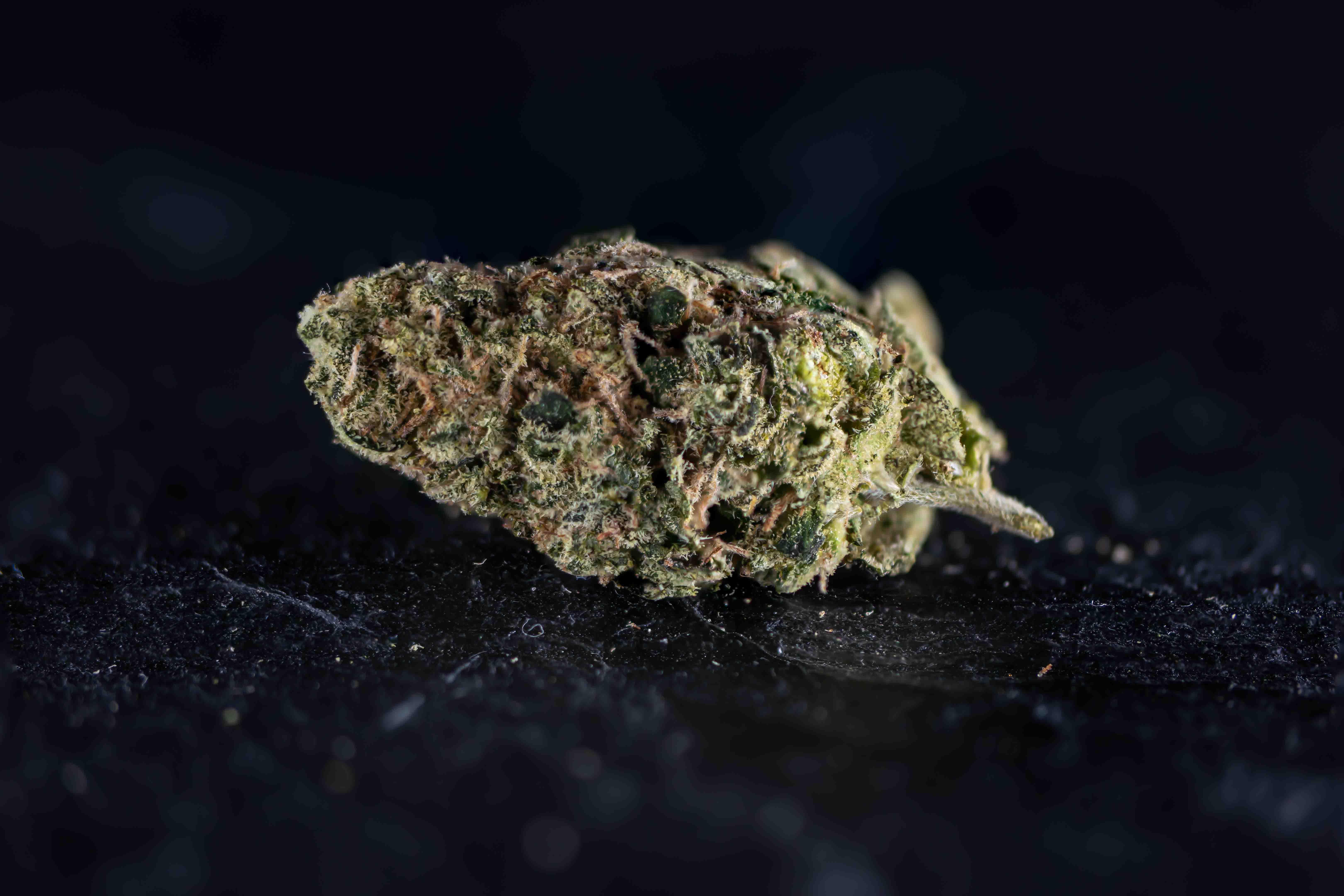 OG Diesel cannabis strain