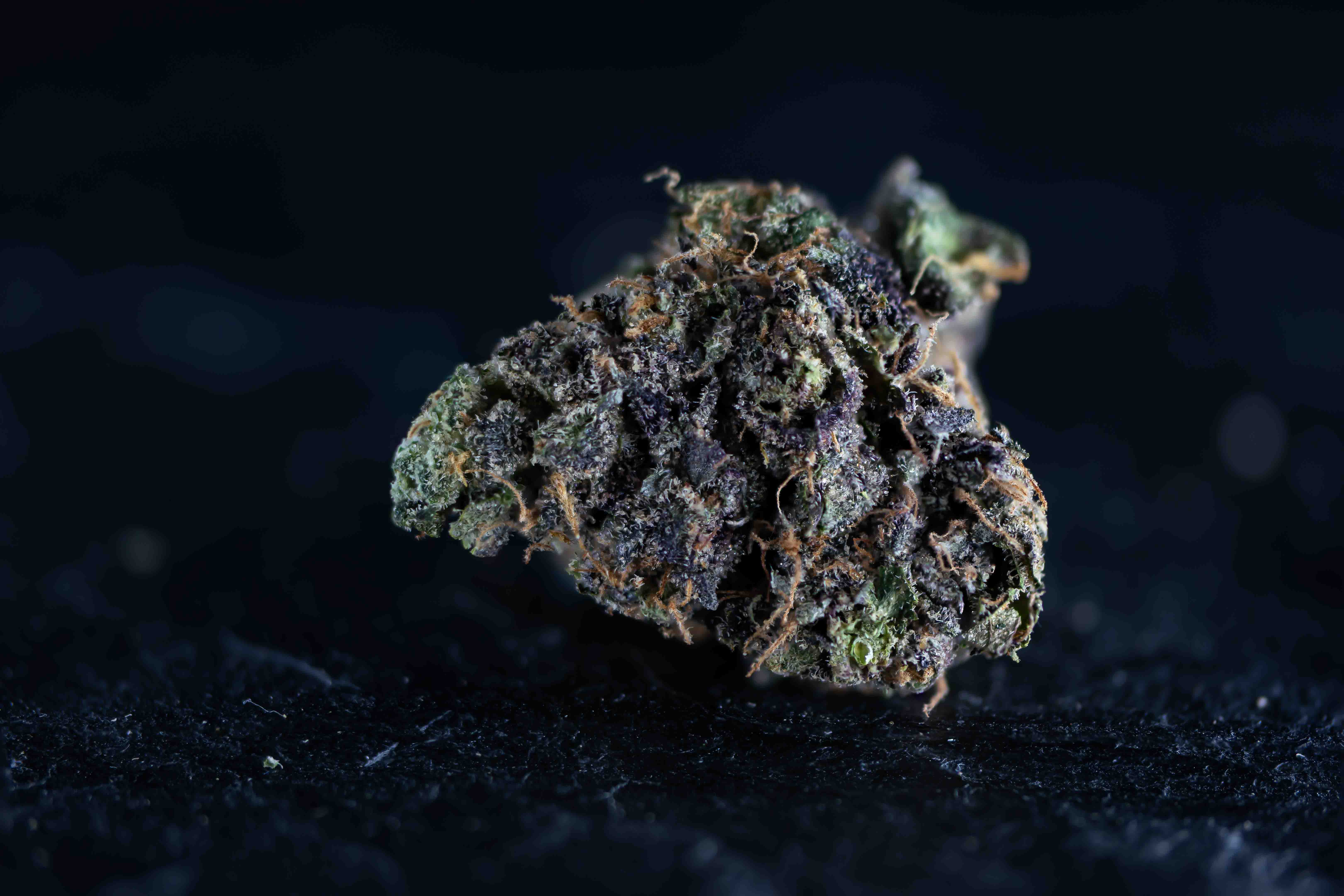 Rainbow RuntZ cannabis strain