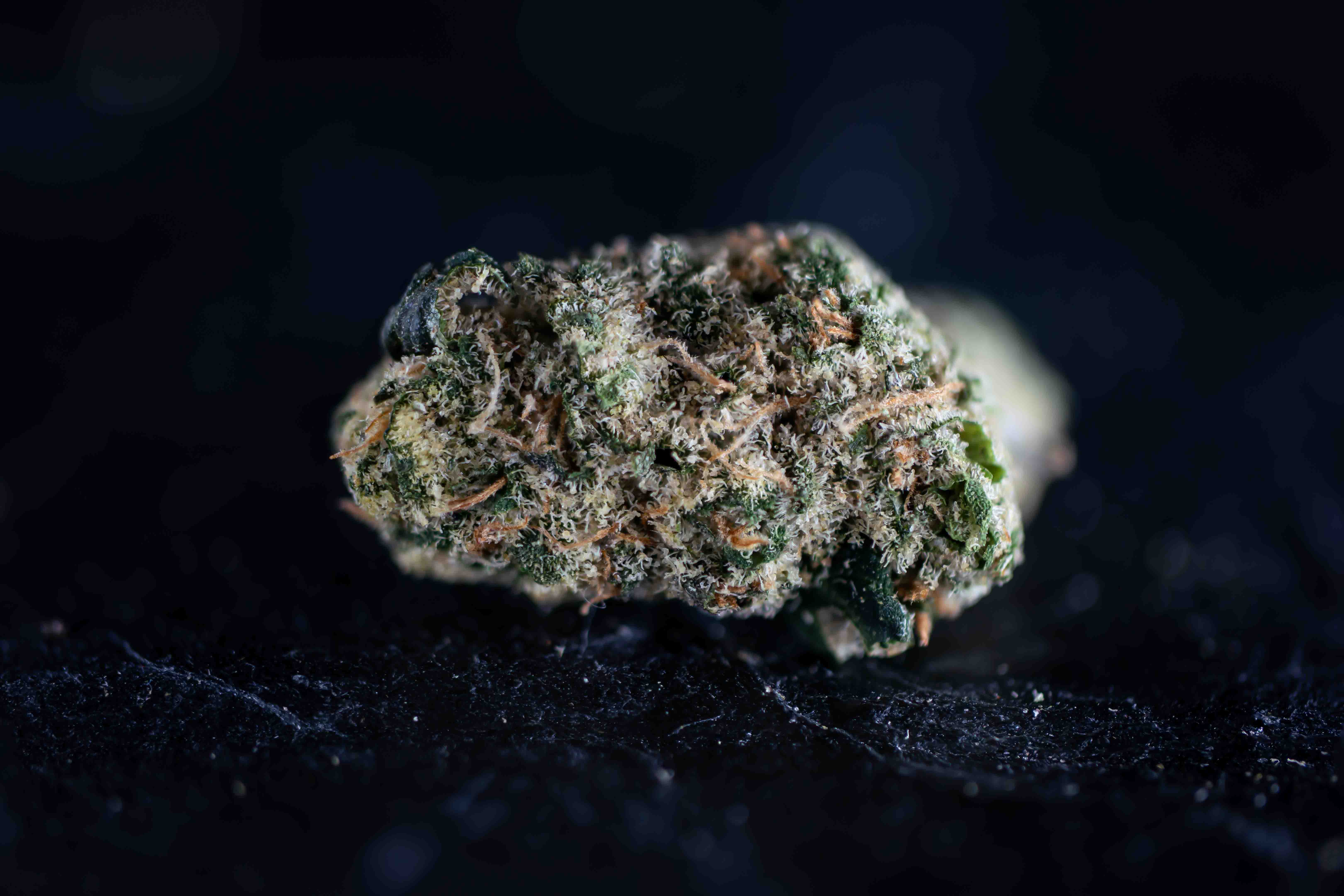 Melted Rainbow cannabis strain