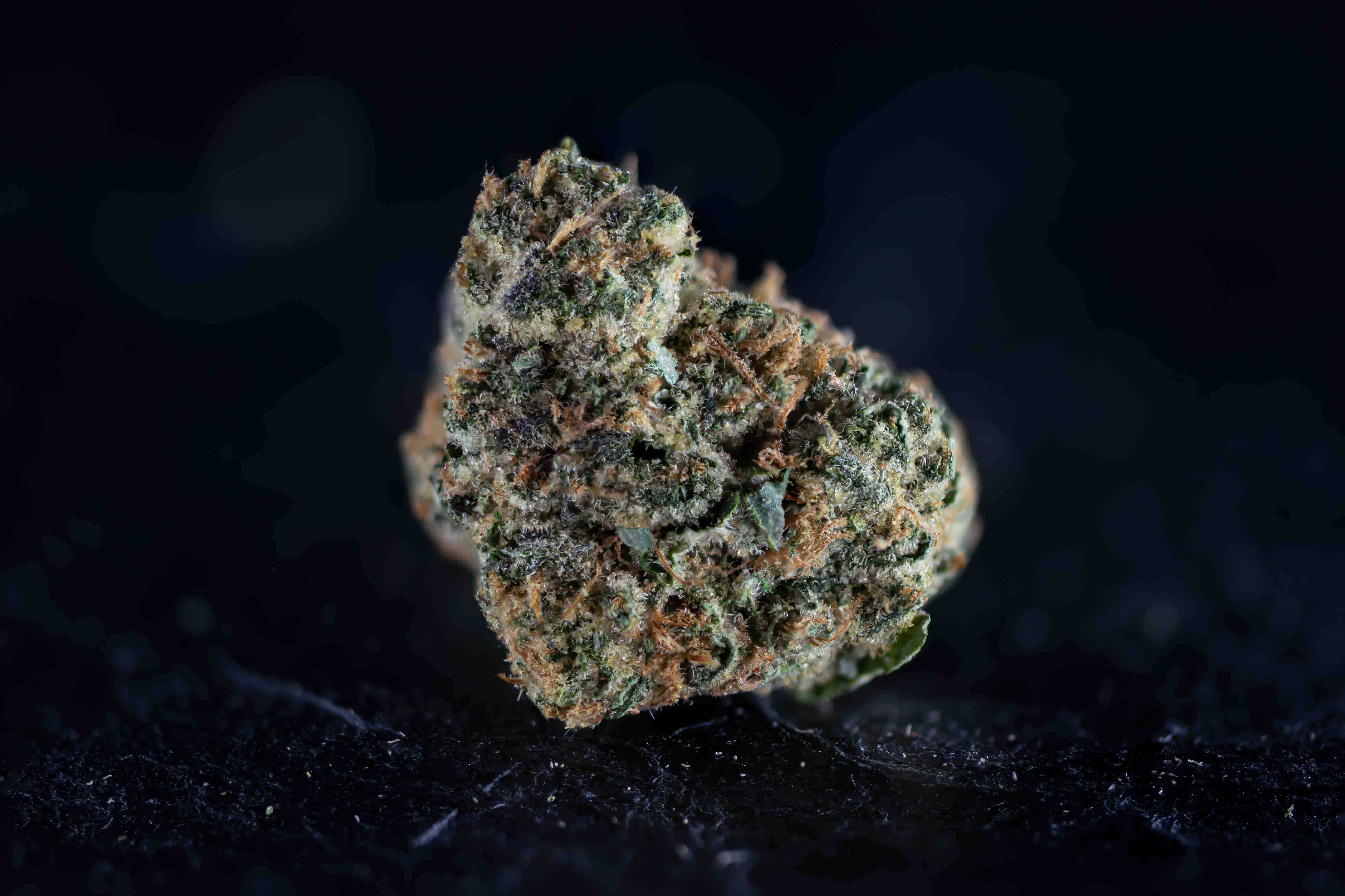 The Original Zkittlez cannabis strain