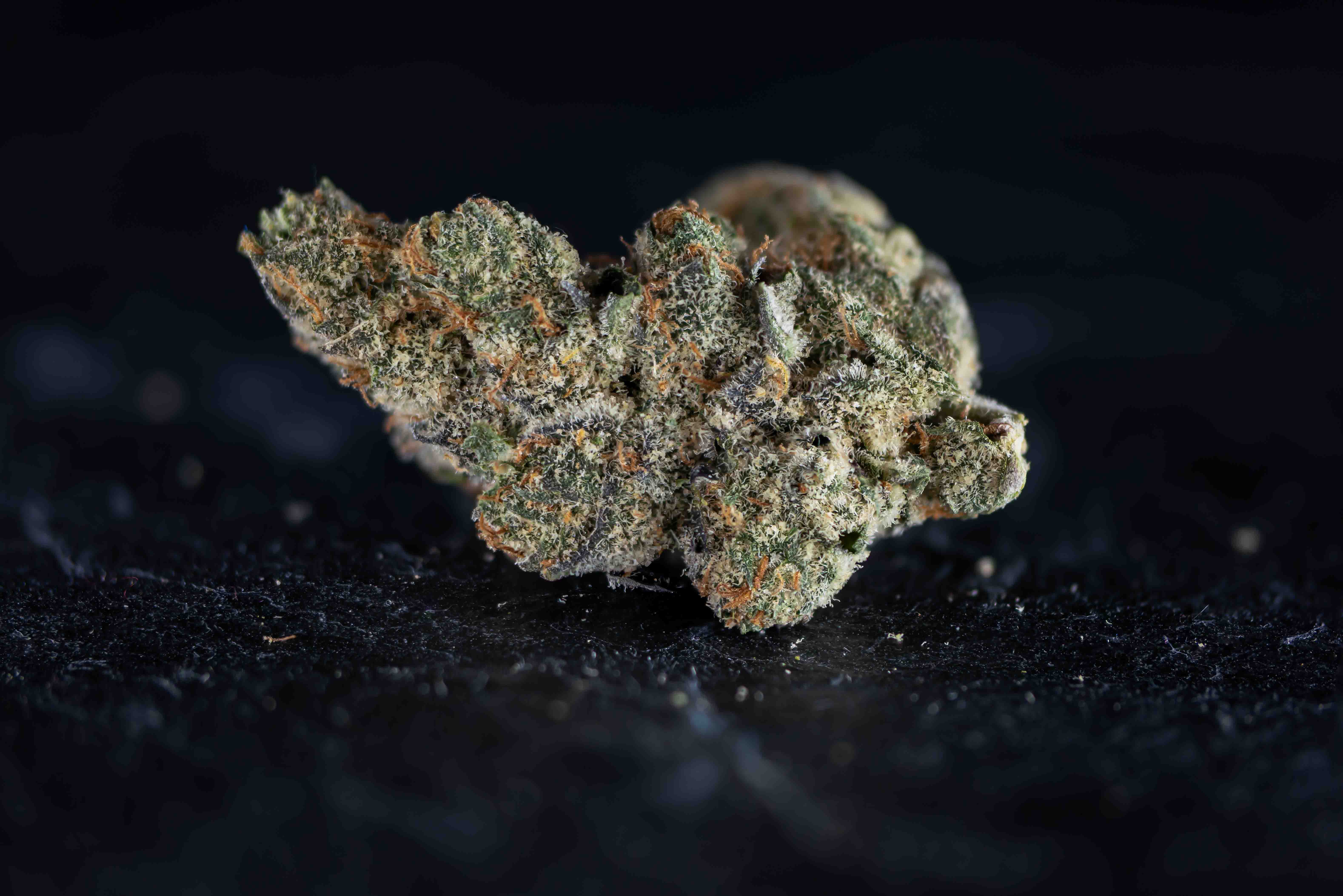 Lemon Papaya cannabis strain