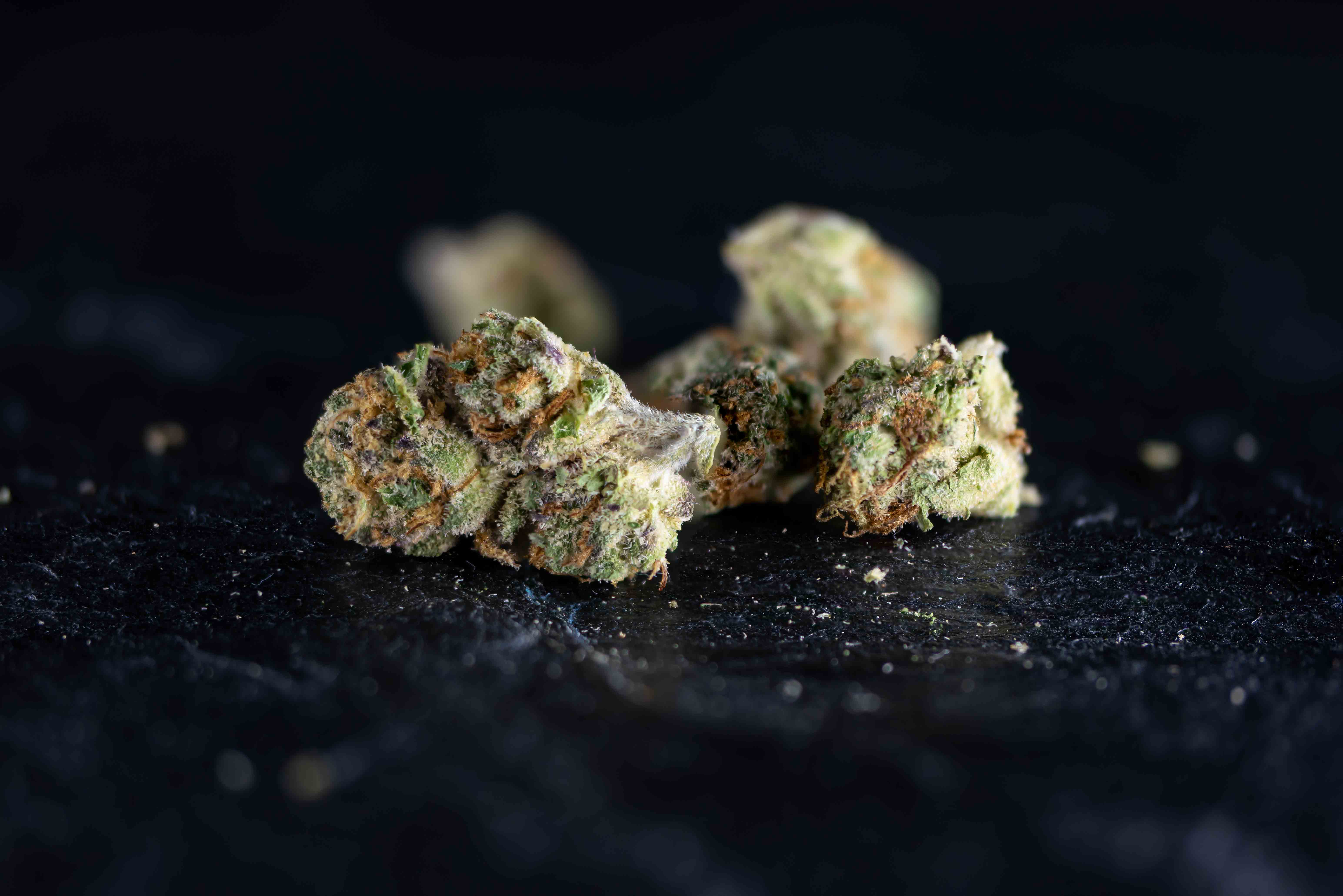 Kawazaki 297 cannabis strain