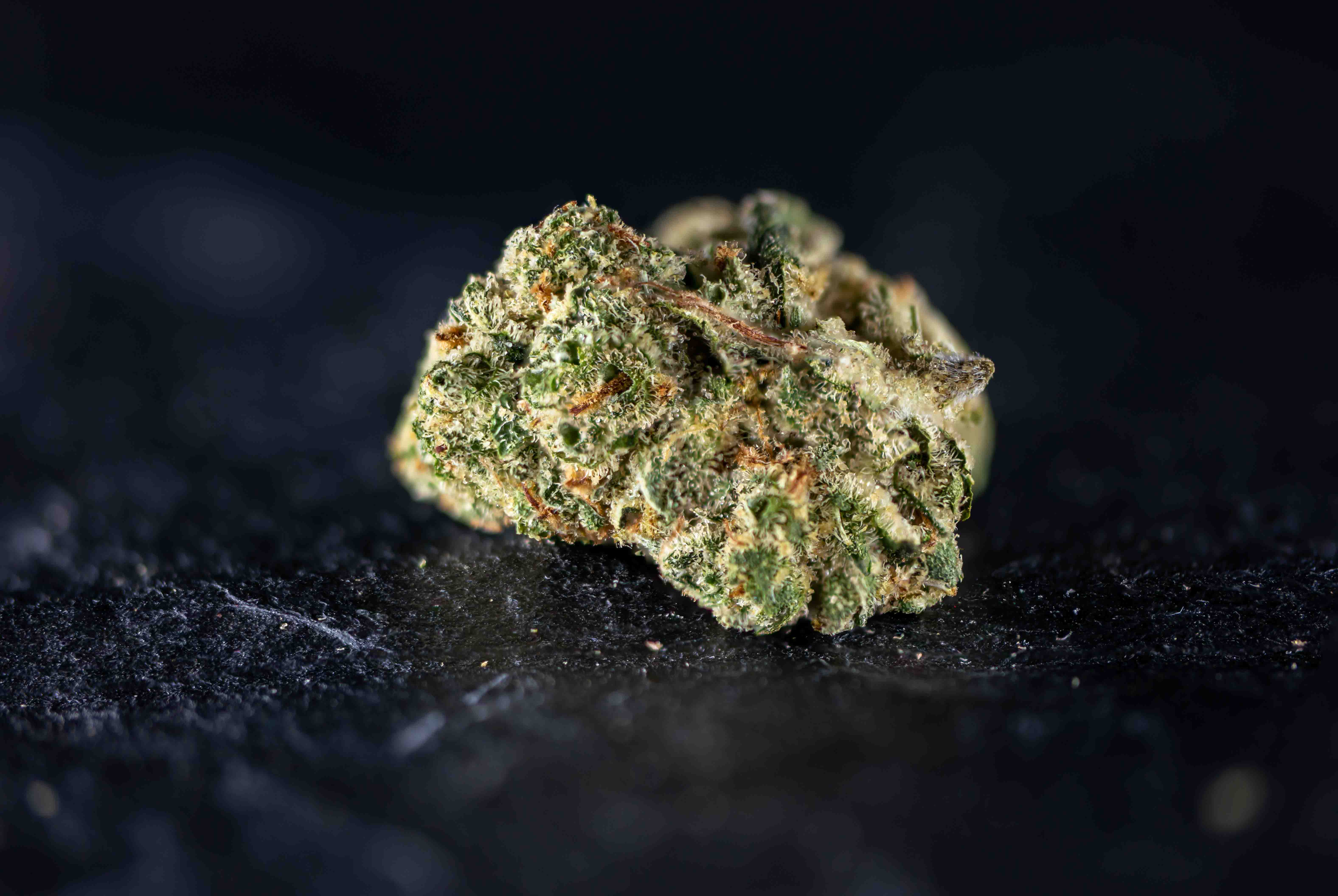 Amnesia cannabis strain