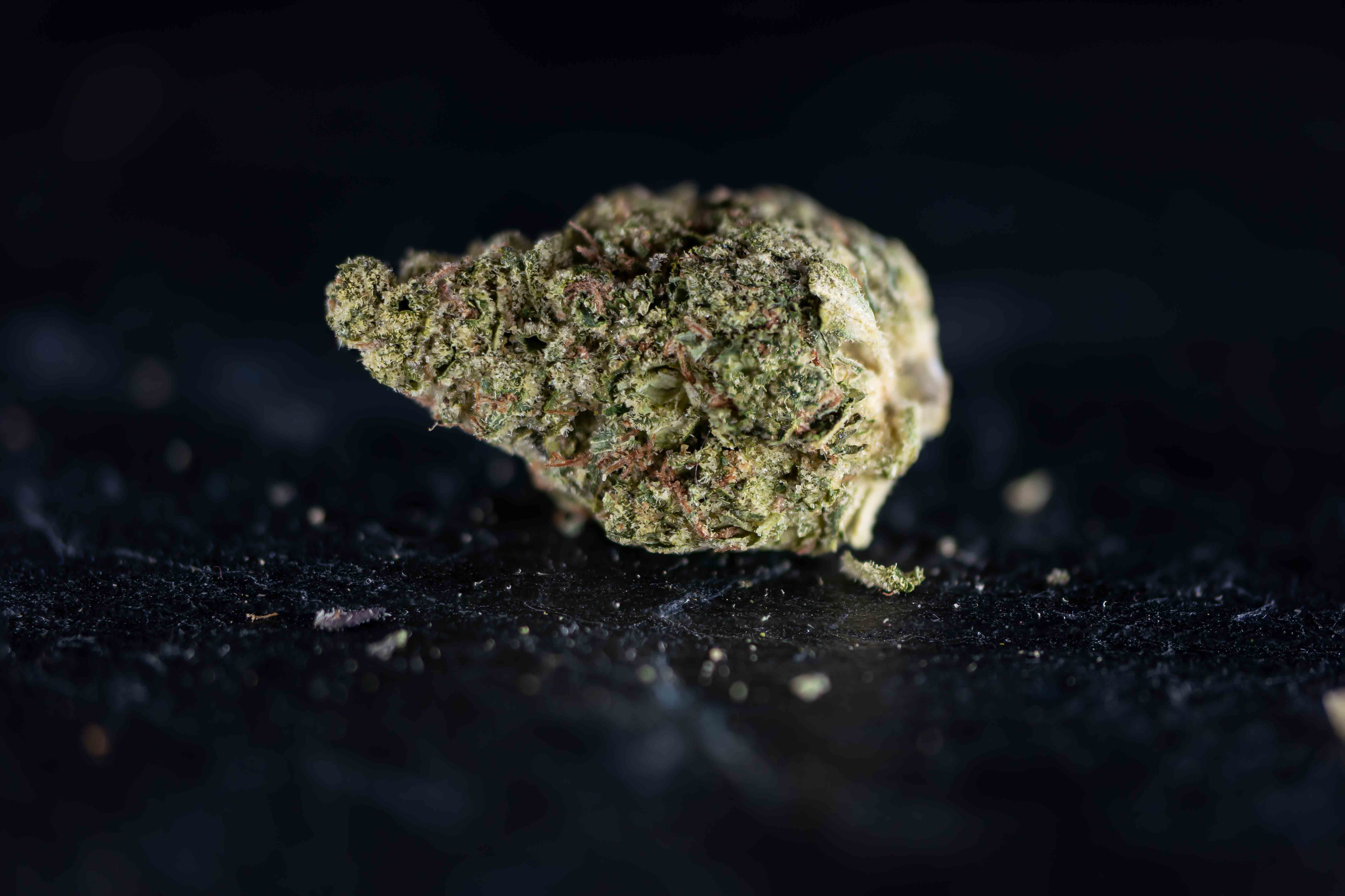 Sour Melon cannabis strain