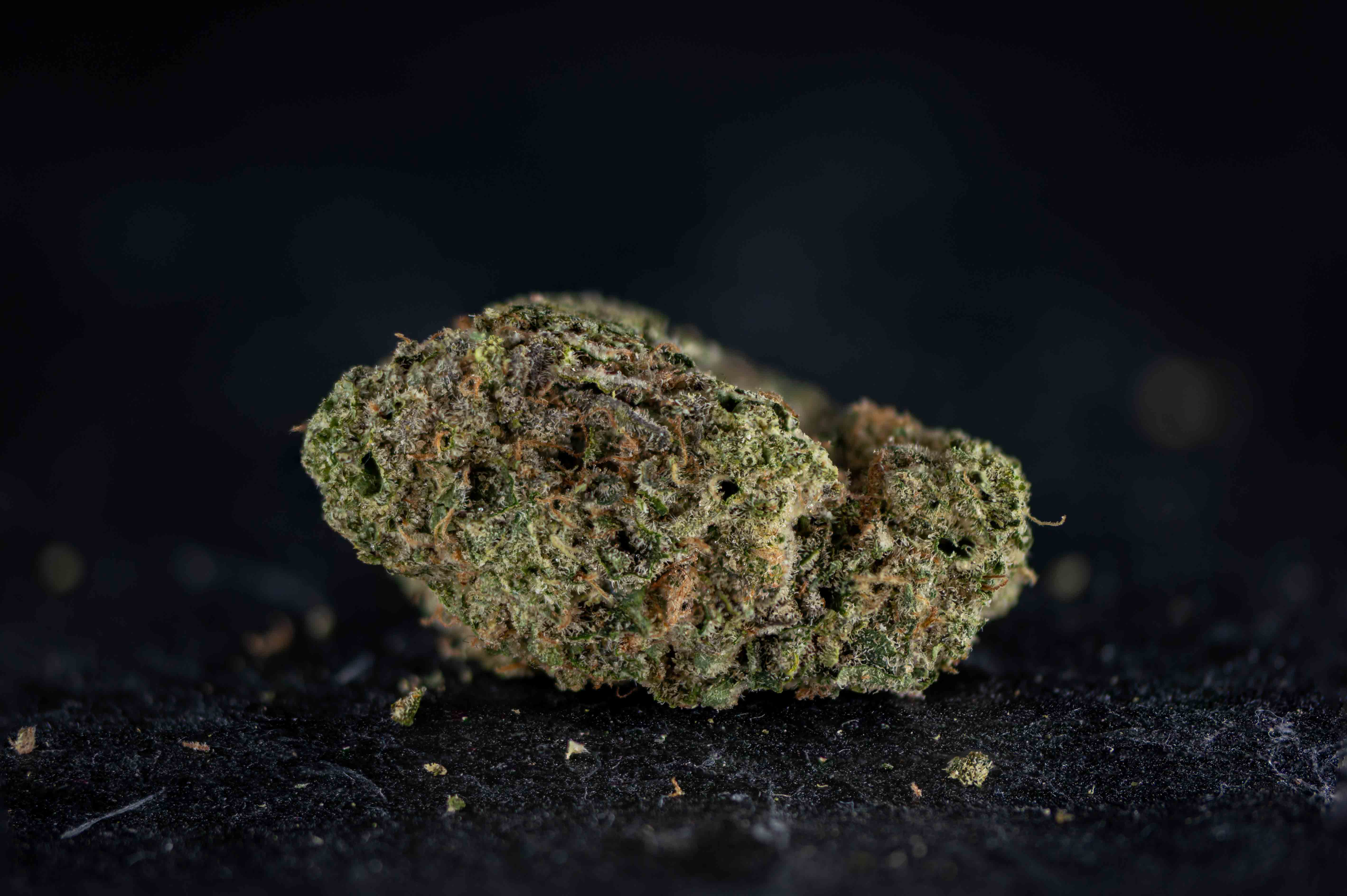 Rainbow Belts cannabis strain