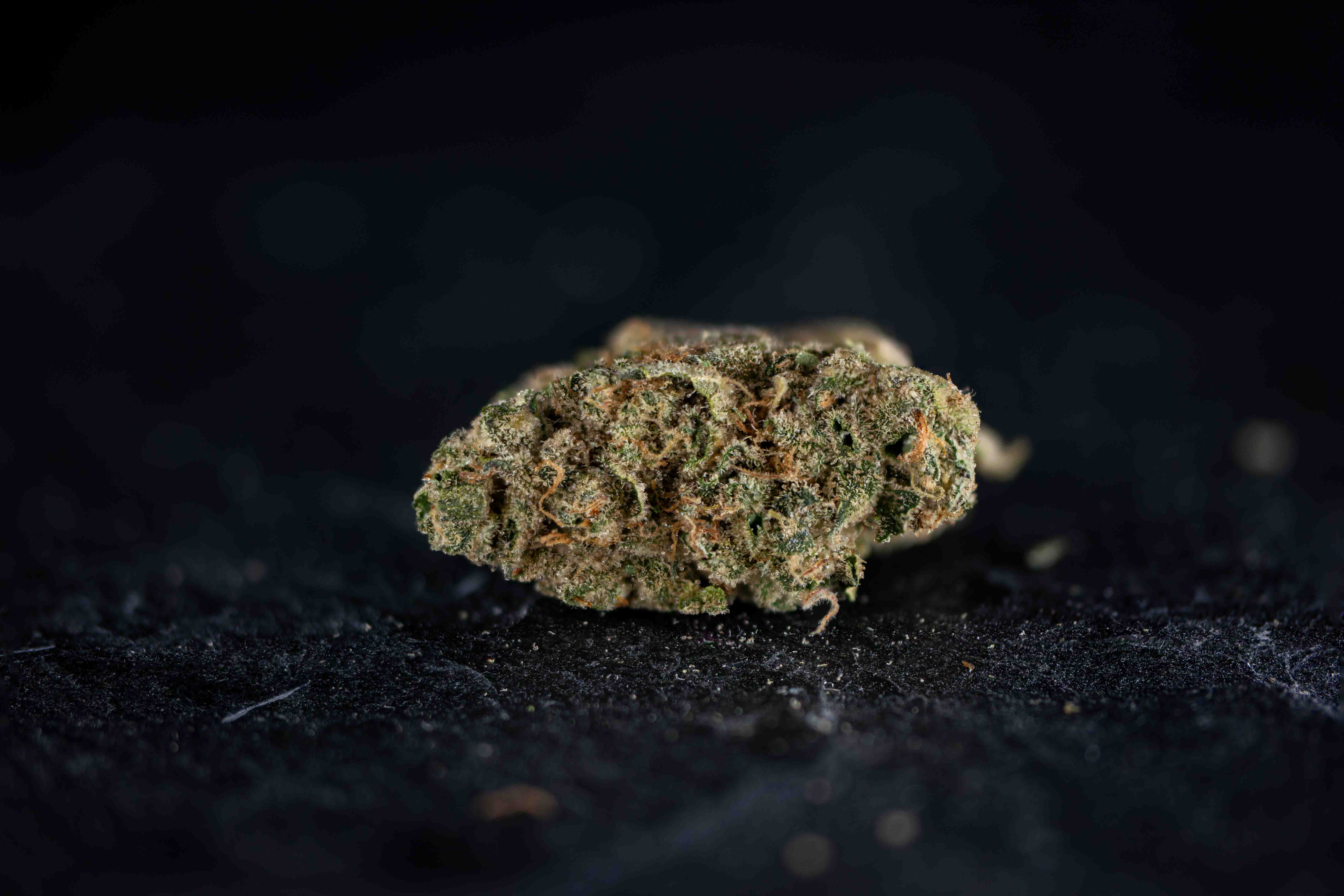 Galactic Haze cannabis strain