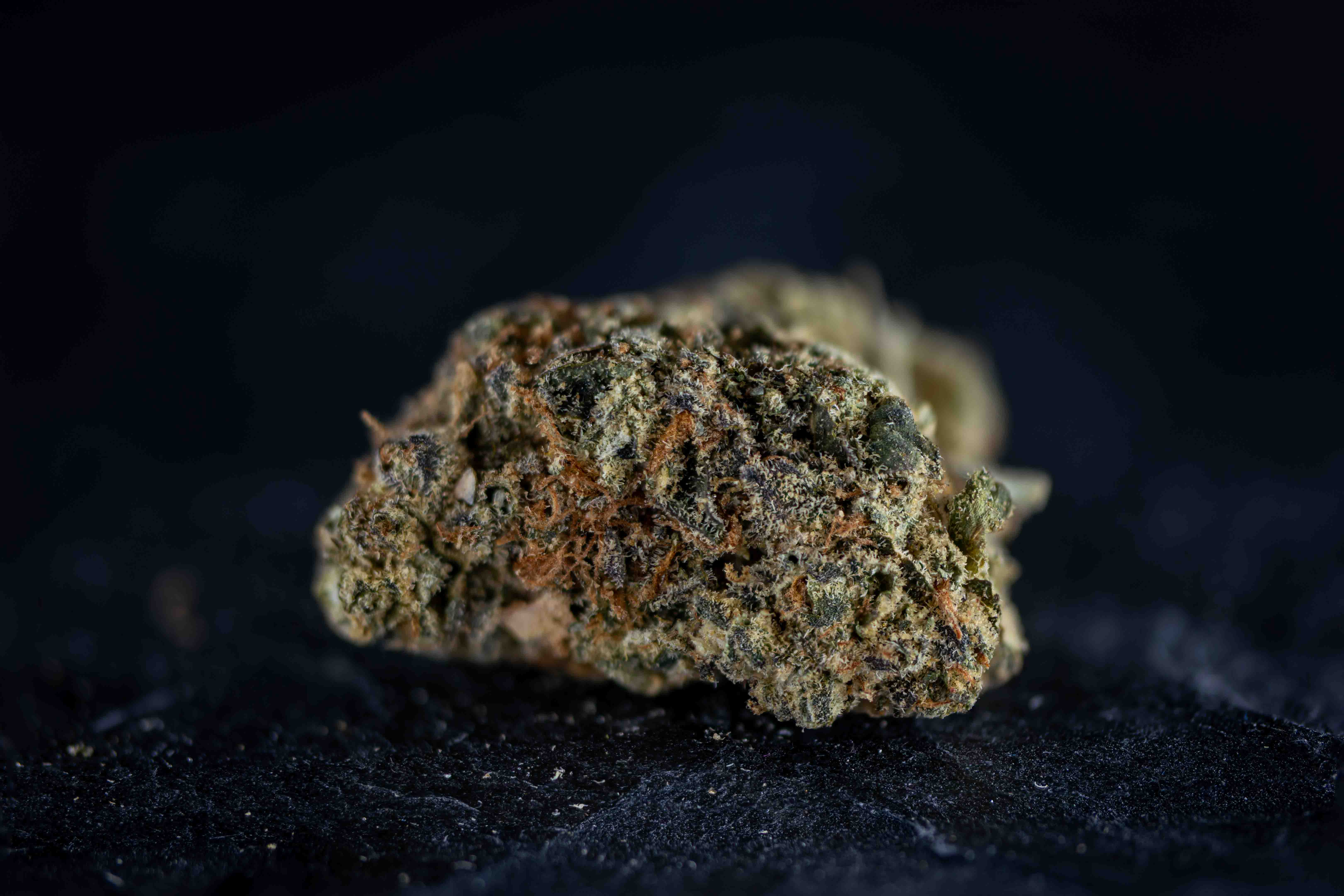 Petrol Head Stash cannabis strain