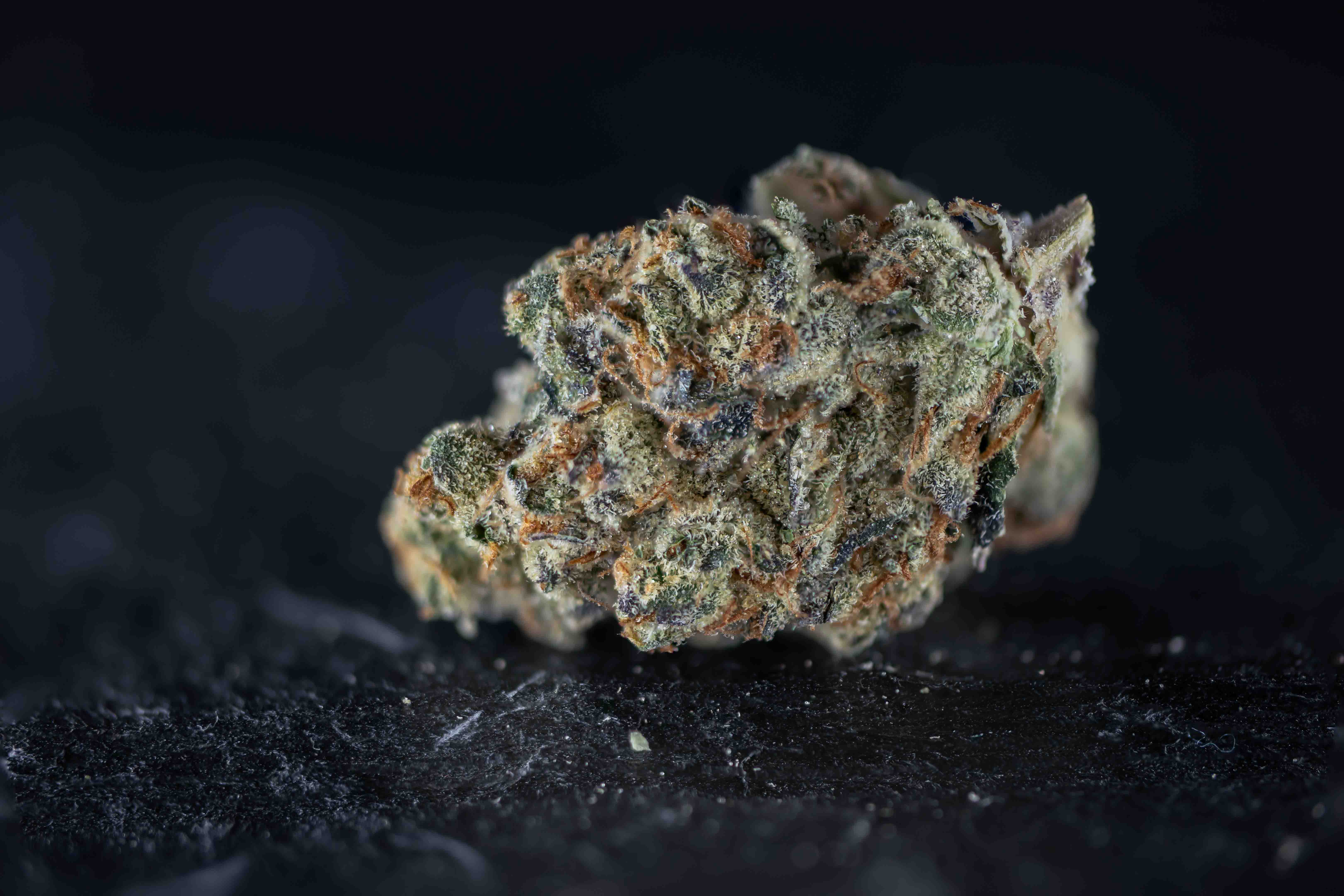 Crumbled Lime cannabis strain