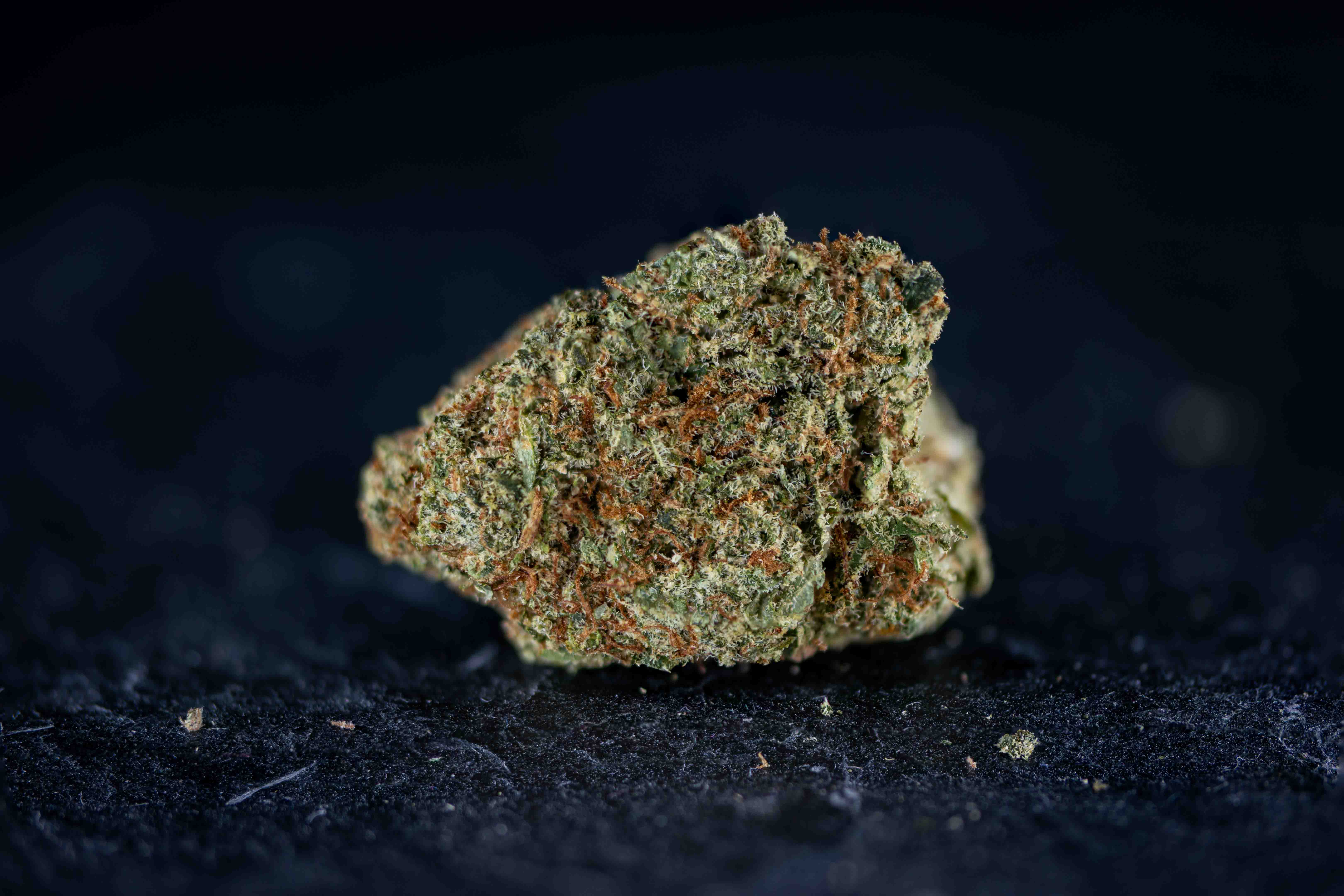 Golden Sunset cannabis strain