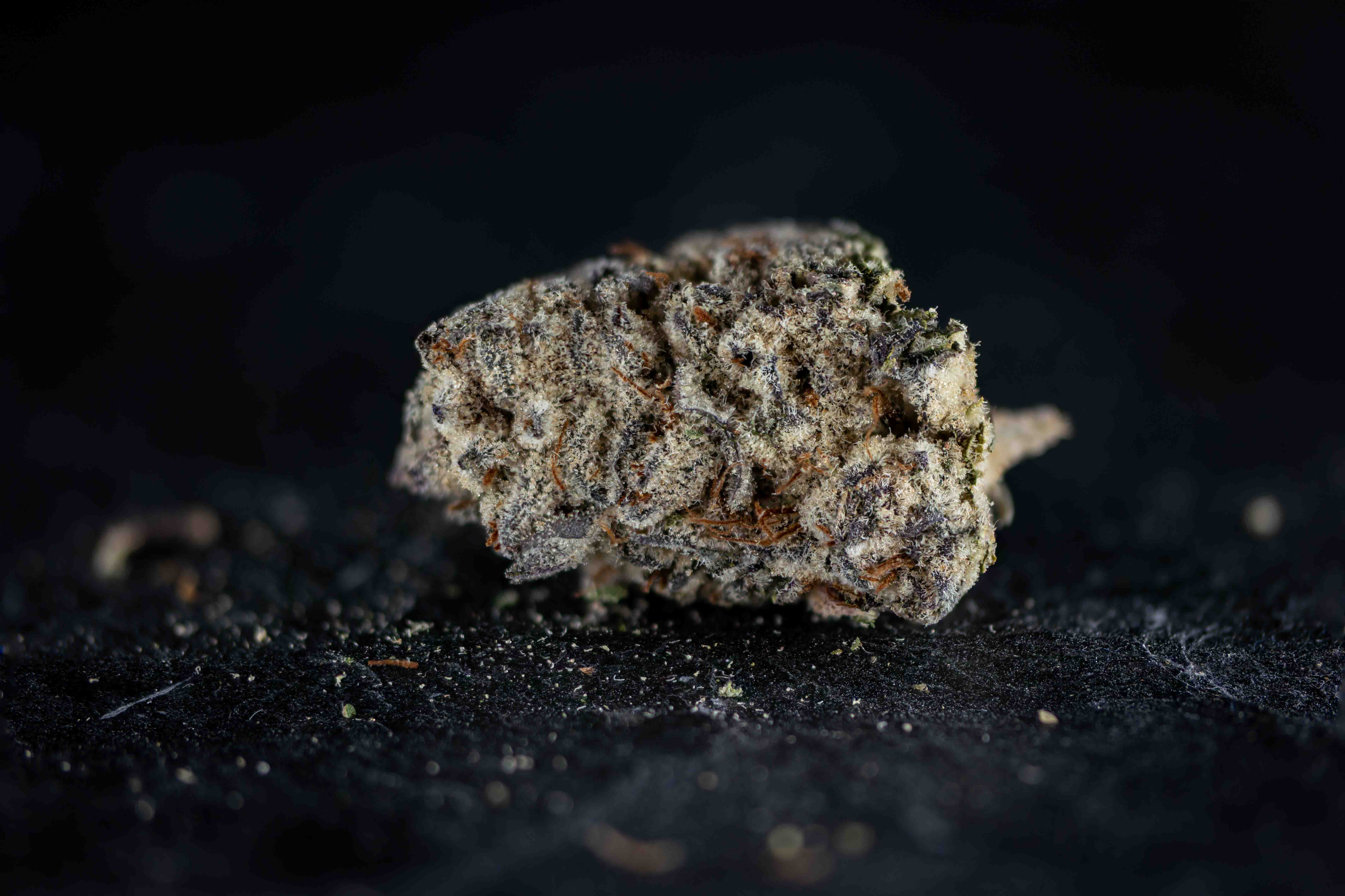 Strawberry Knockout by Leli Holland cannabis strain