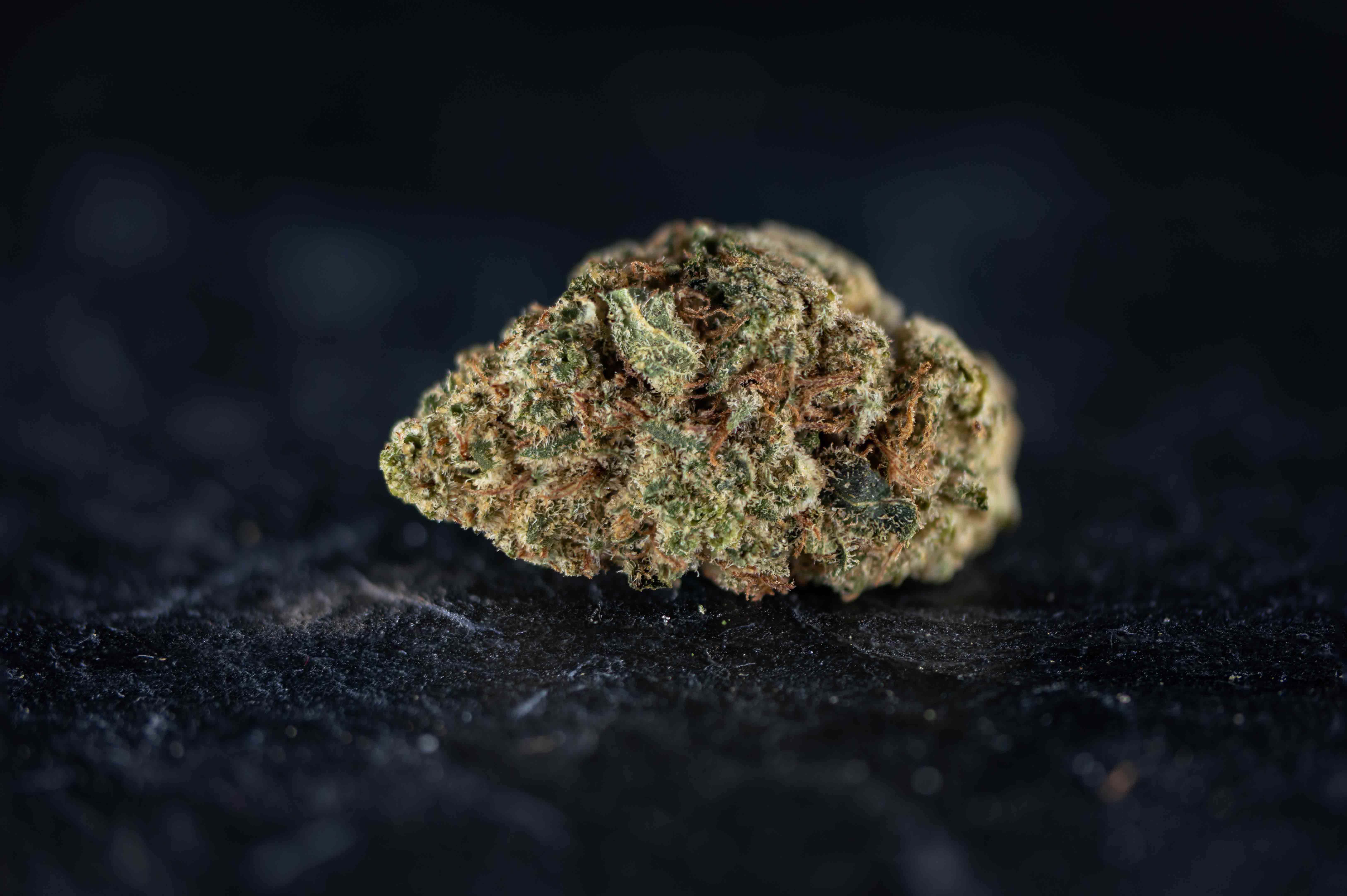 Lemon Tree by Linsboer cannabis strain