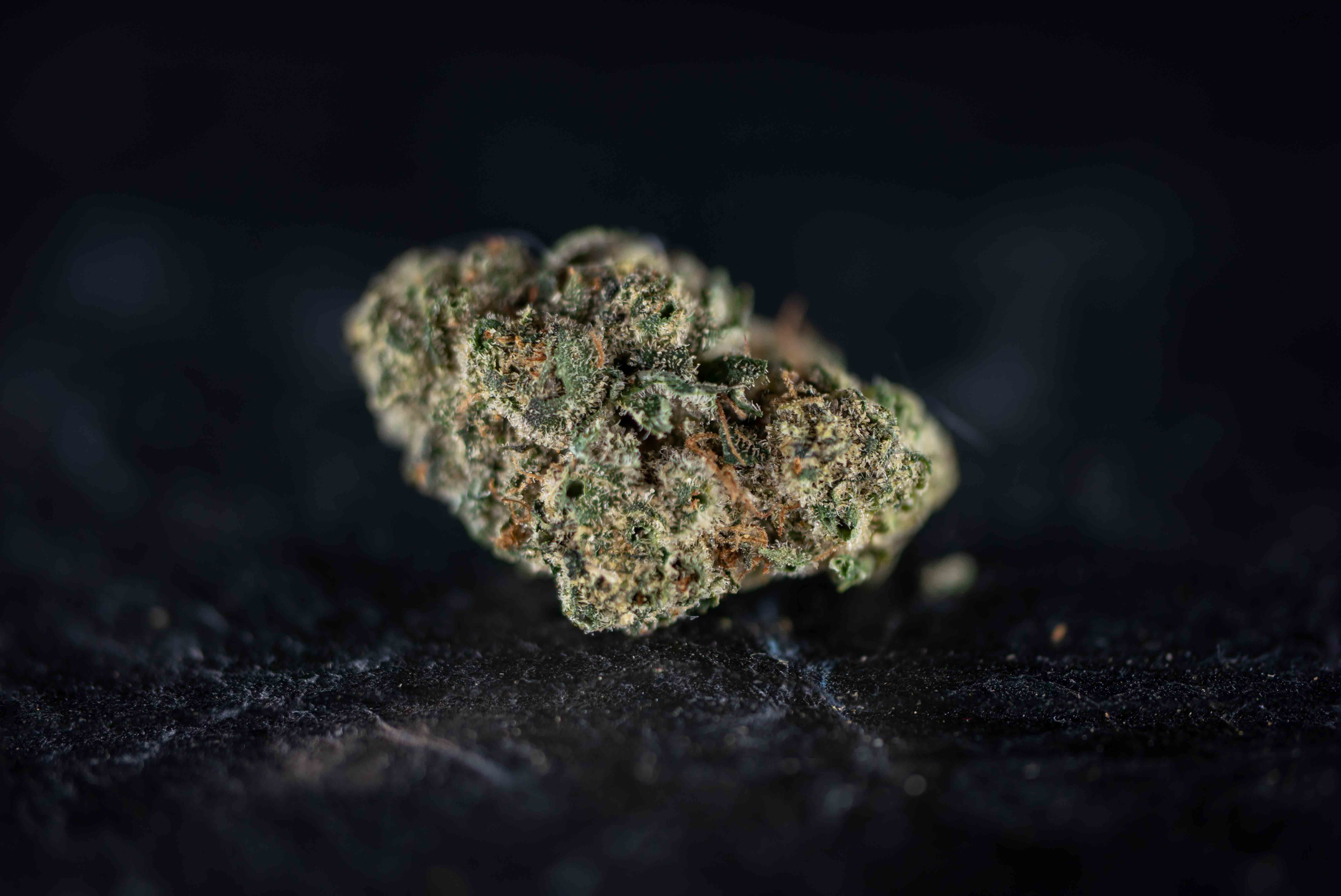 Strawberry Runtz by Growery cannabis strain