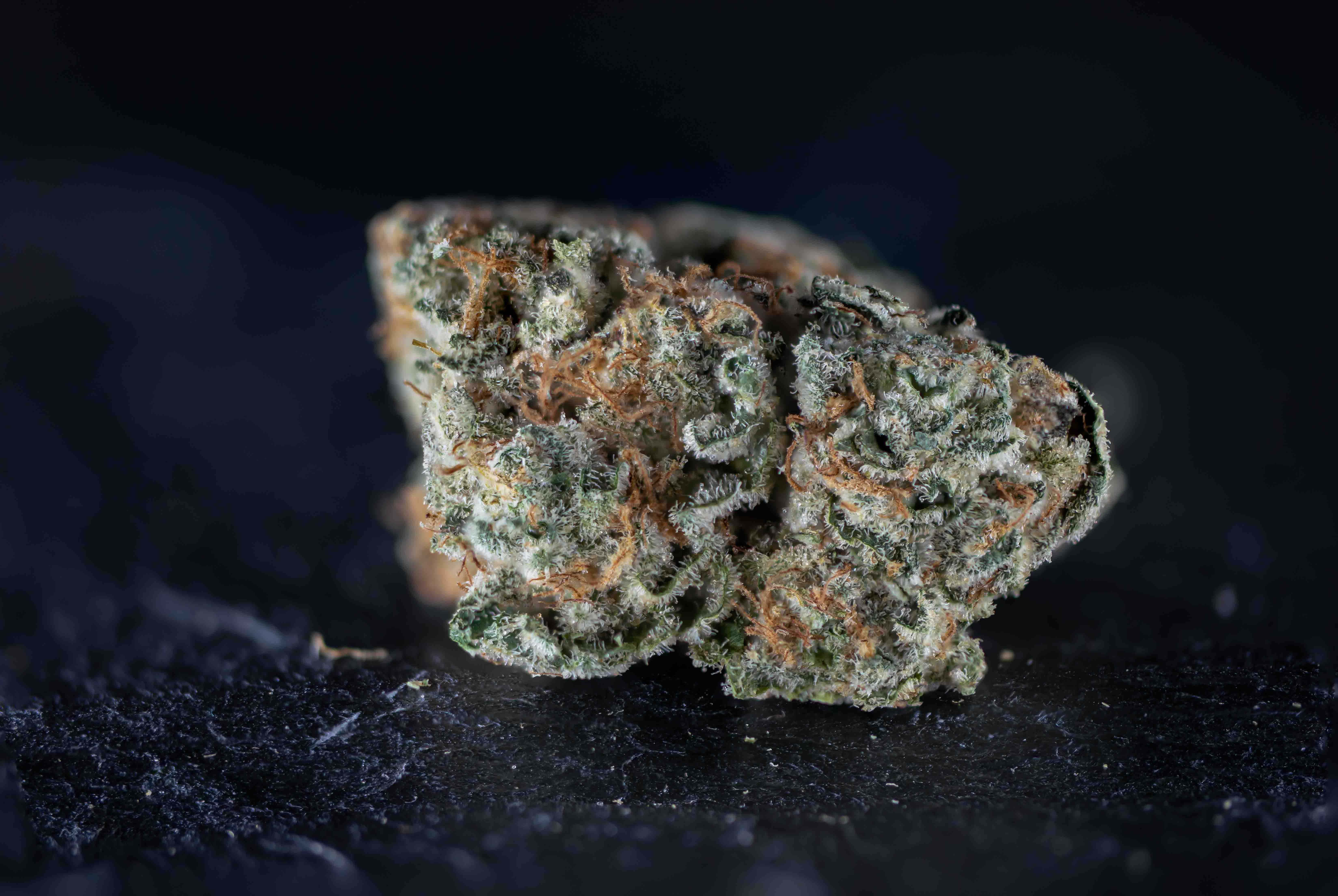 Gary Payton cannabis strain