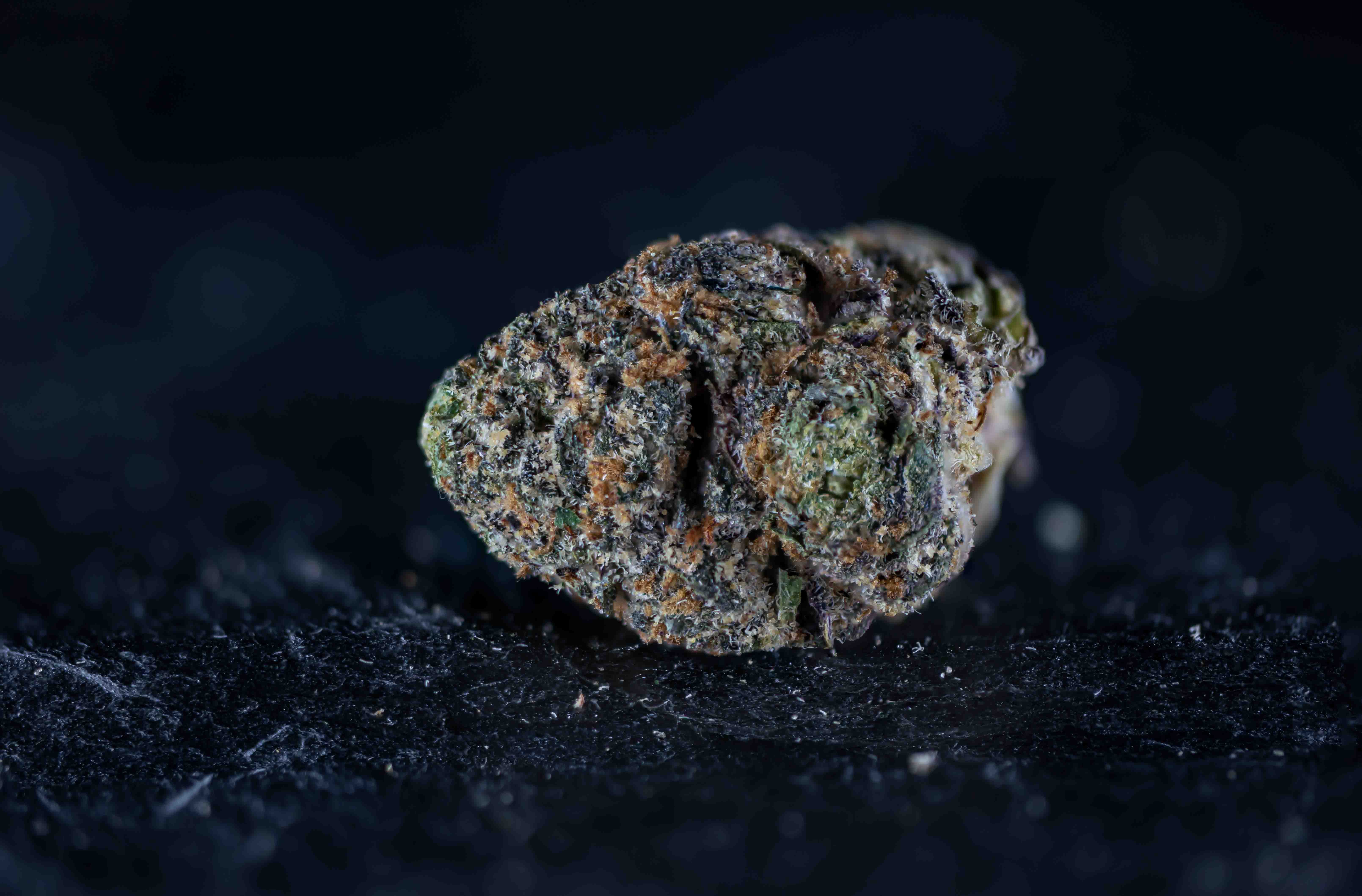 Zlapp! cannabis strain
