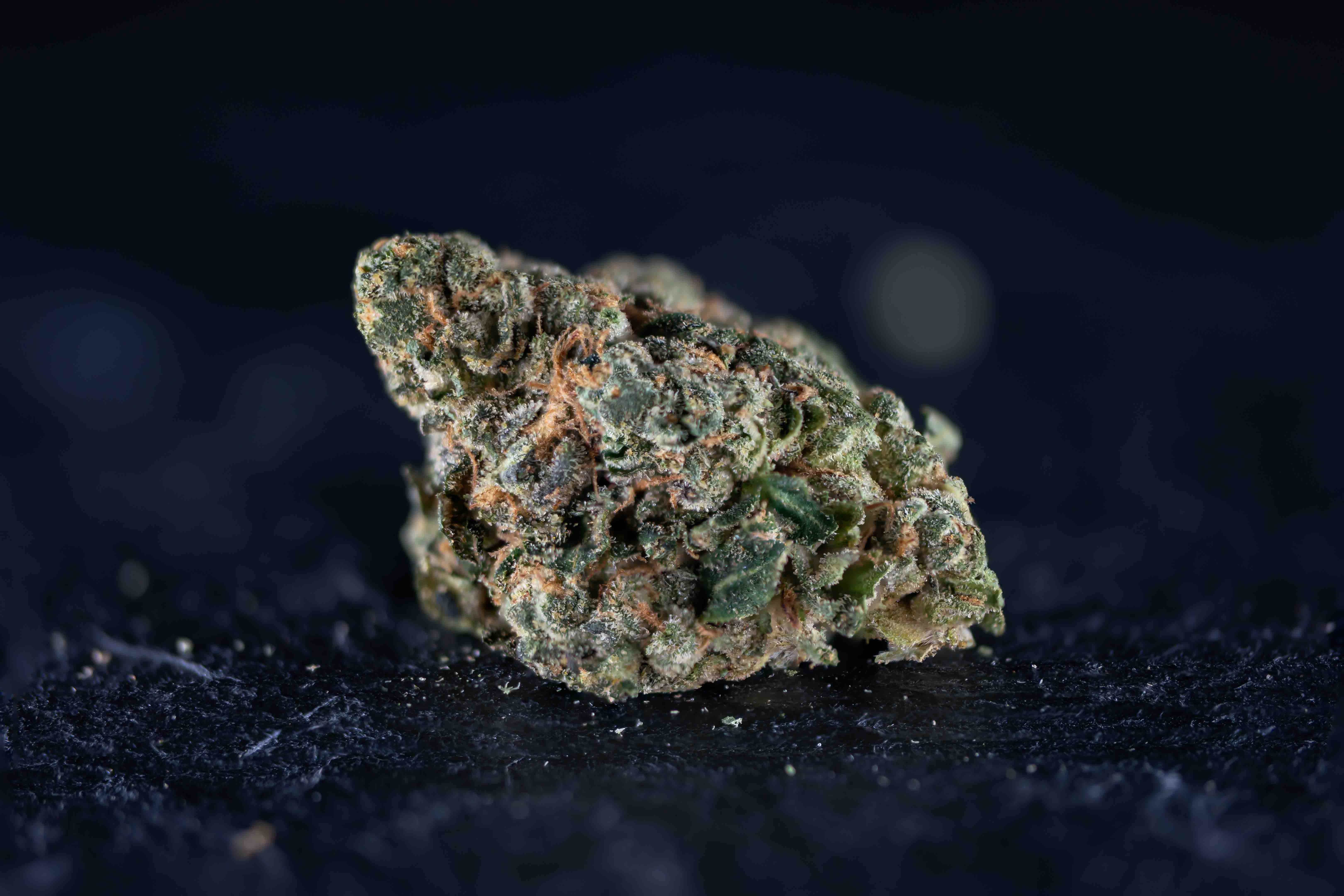 Apples & Bananas cannabis strain