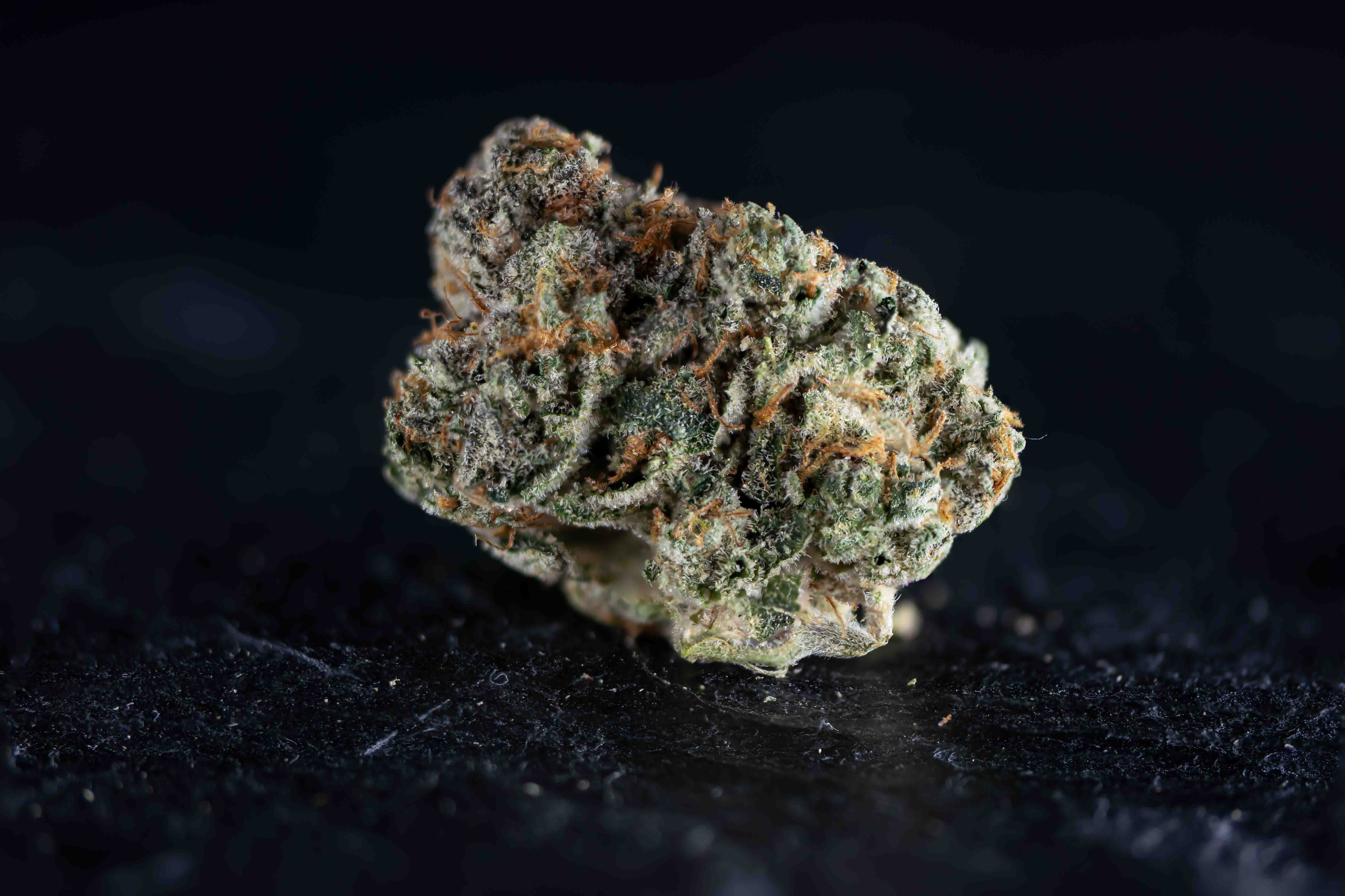 Georgia Pie cannabis strain