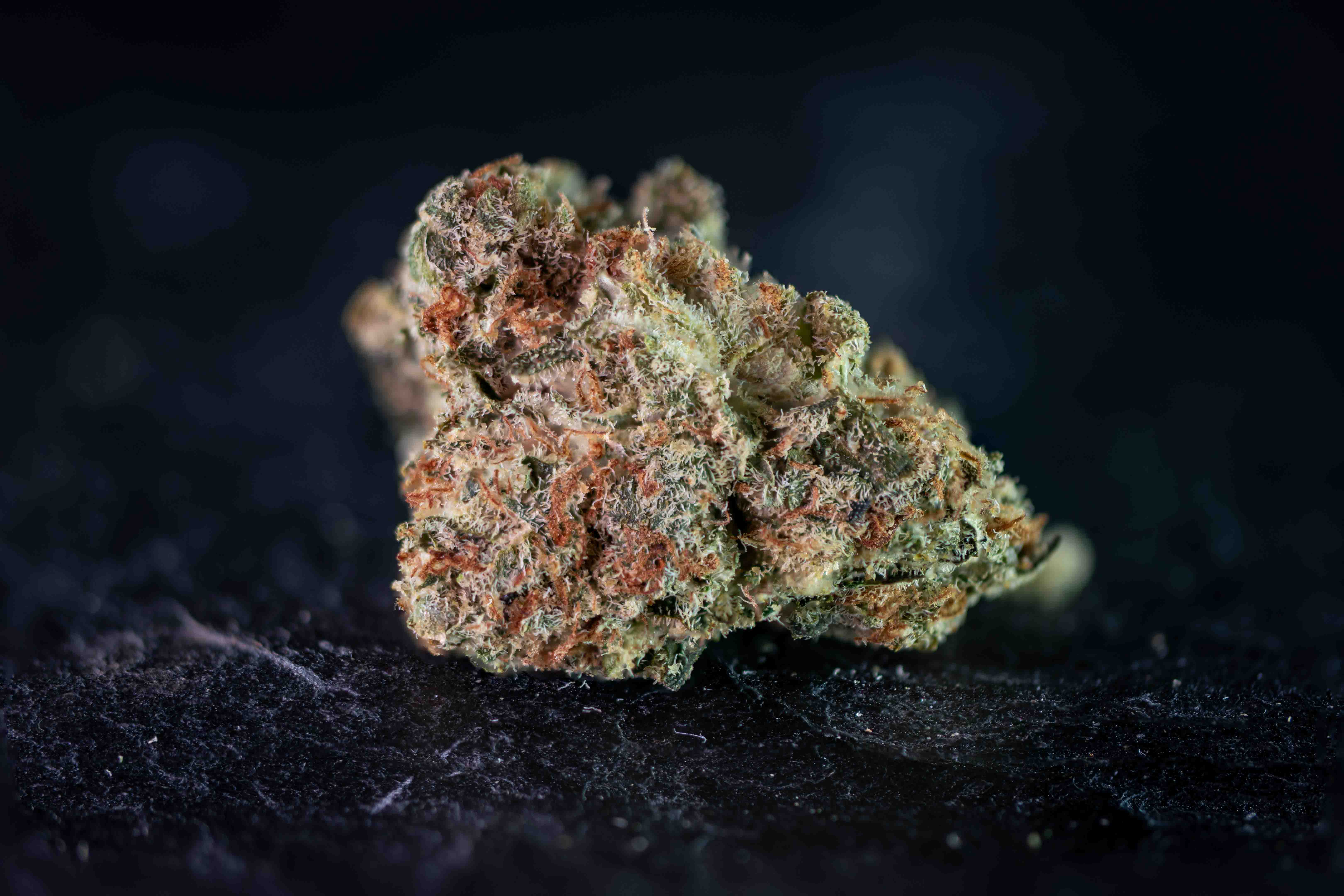 Scots King cannabis strain