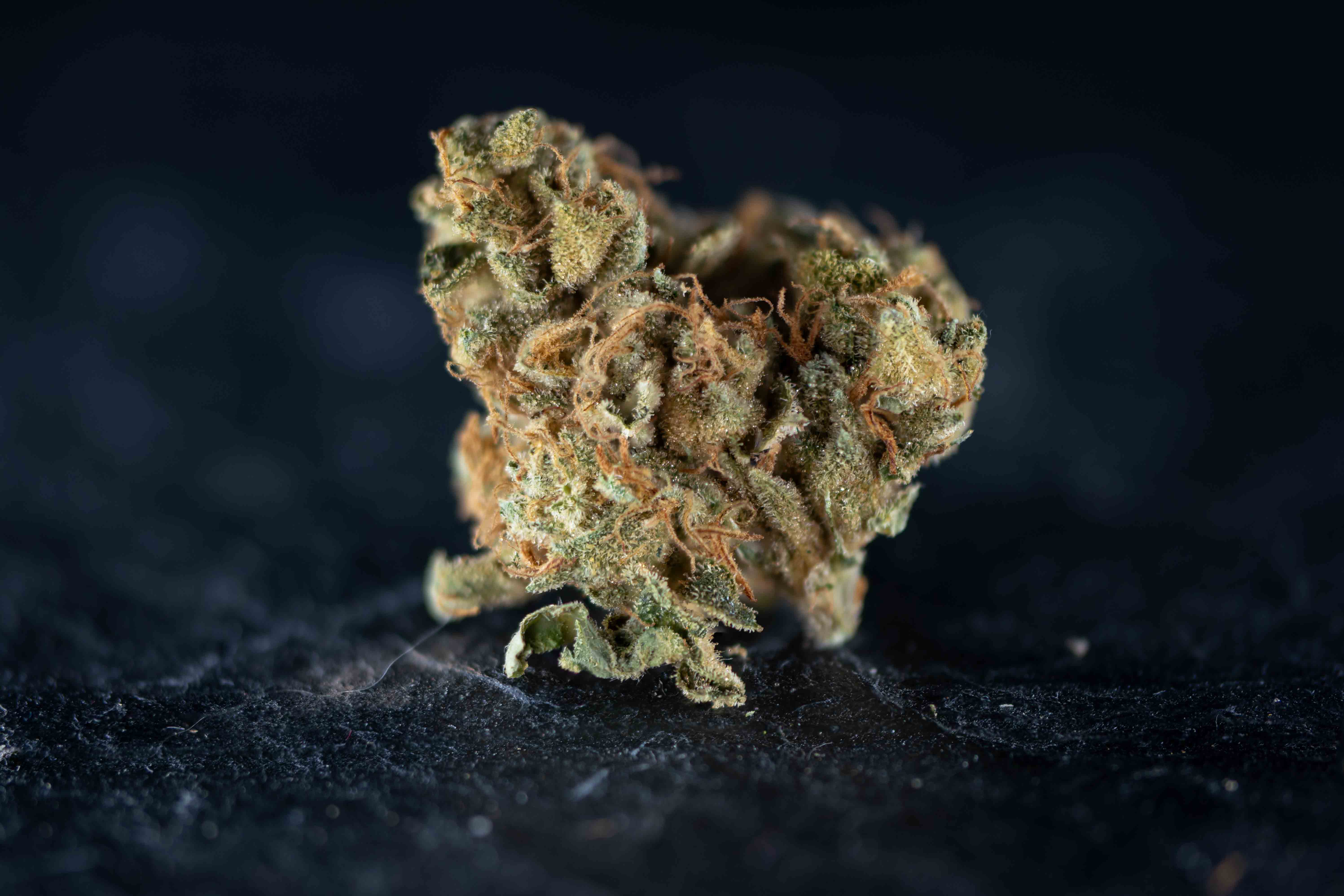 Humo Dulce by Aardachtig cannabis strain