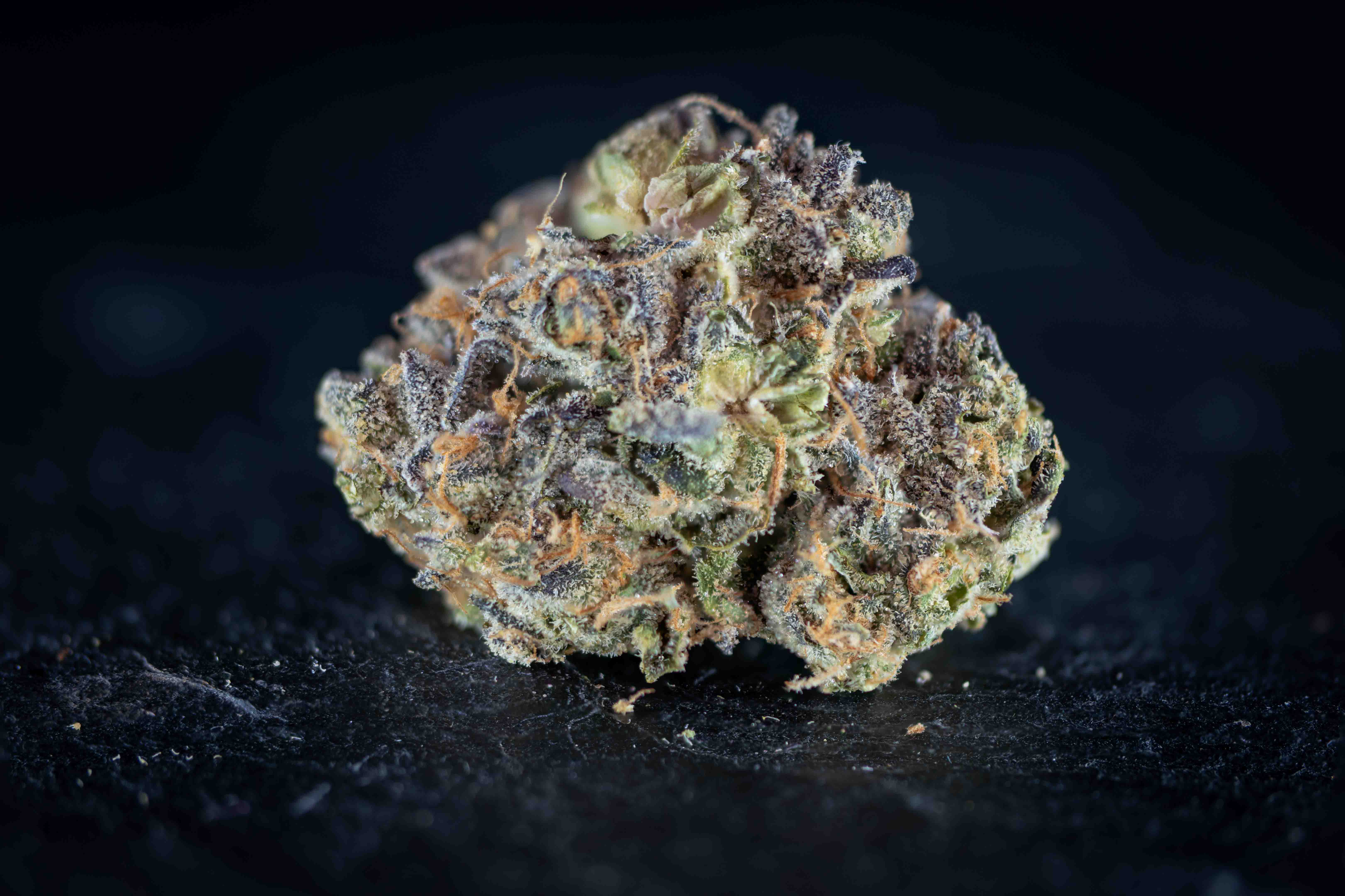 Brain Freeze by Aardachtig cannabis strain