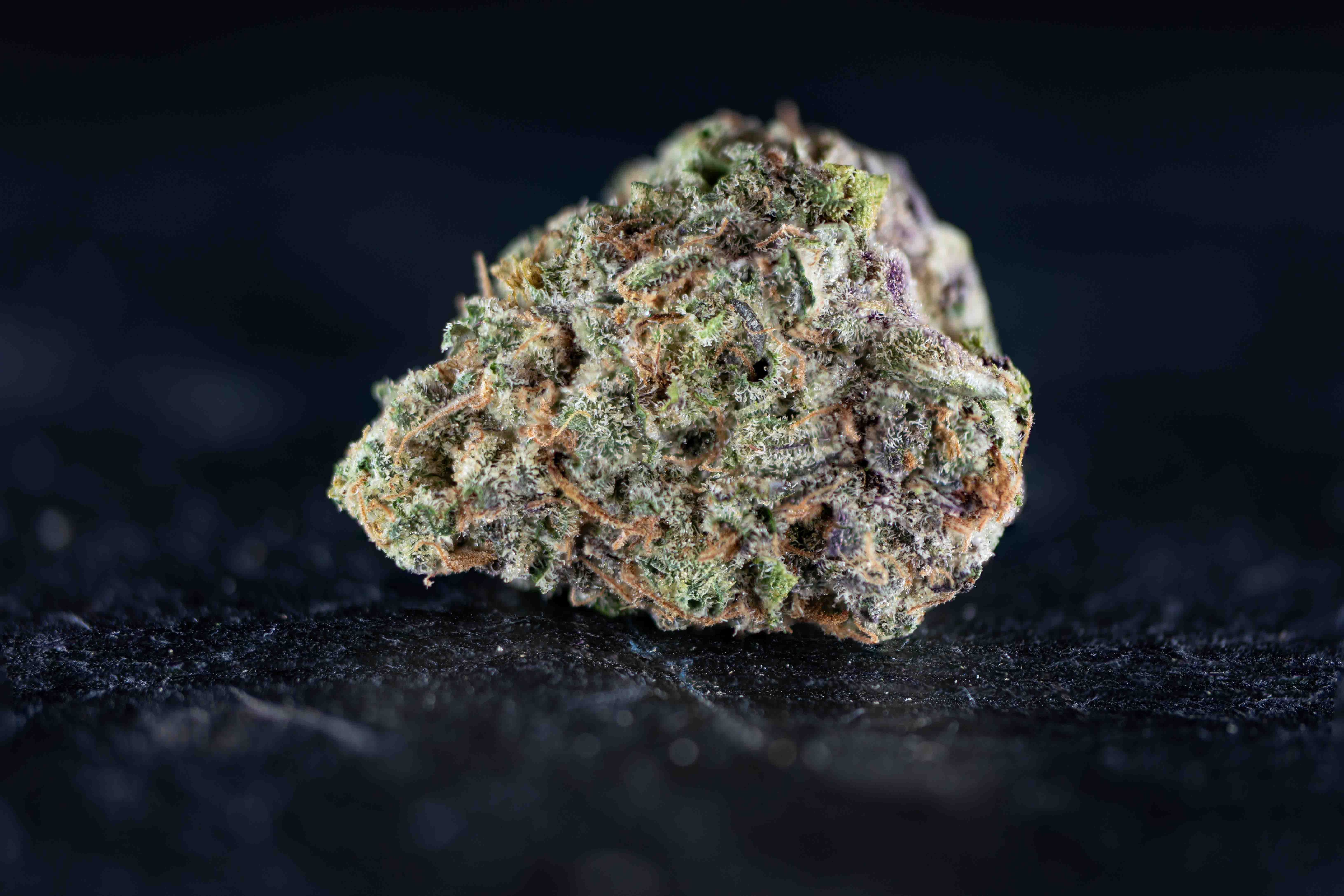 Pink Honey cannabis strain