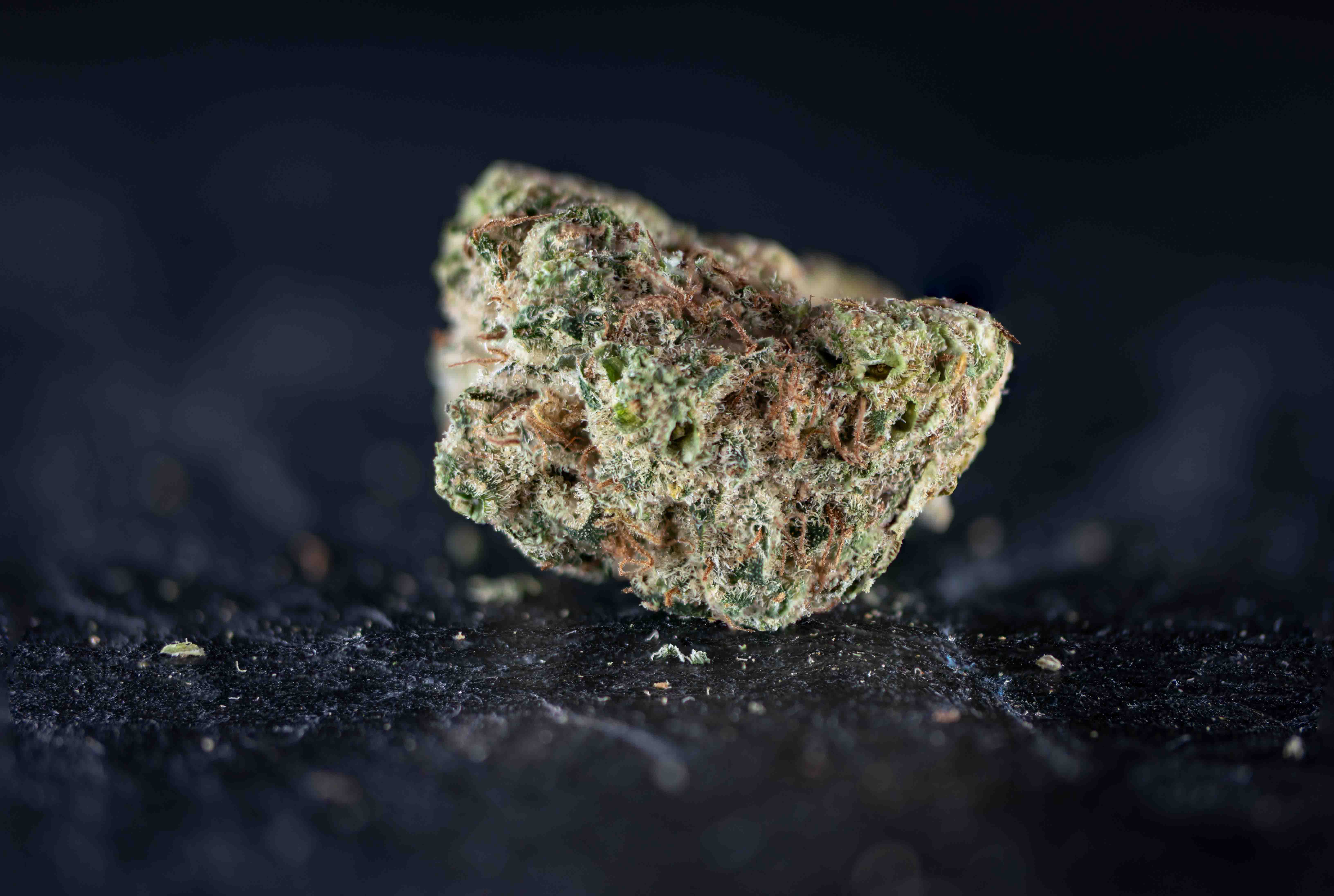 White Widow cannabis strain