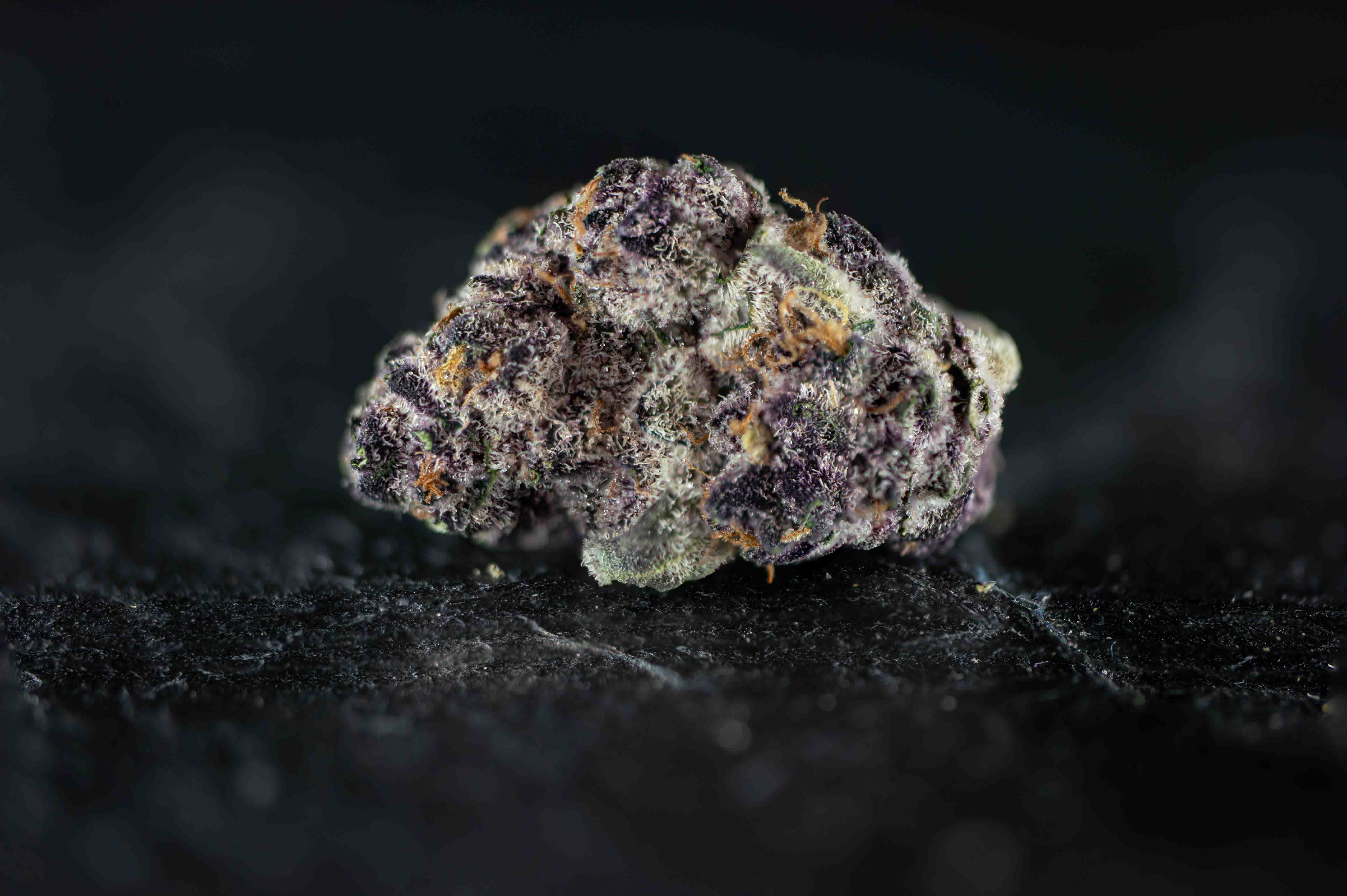 Superbuff Cherry cannabis strain