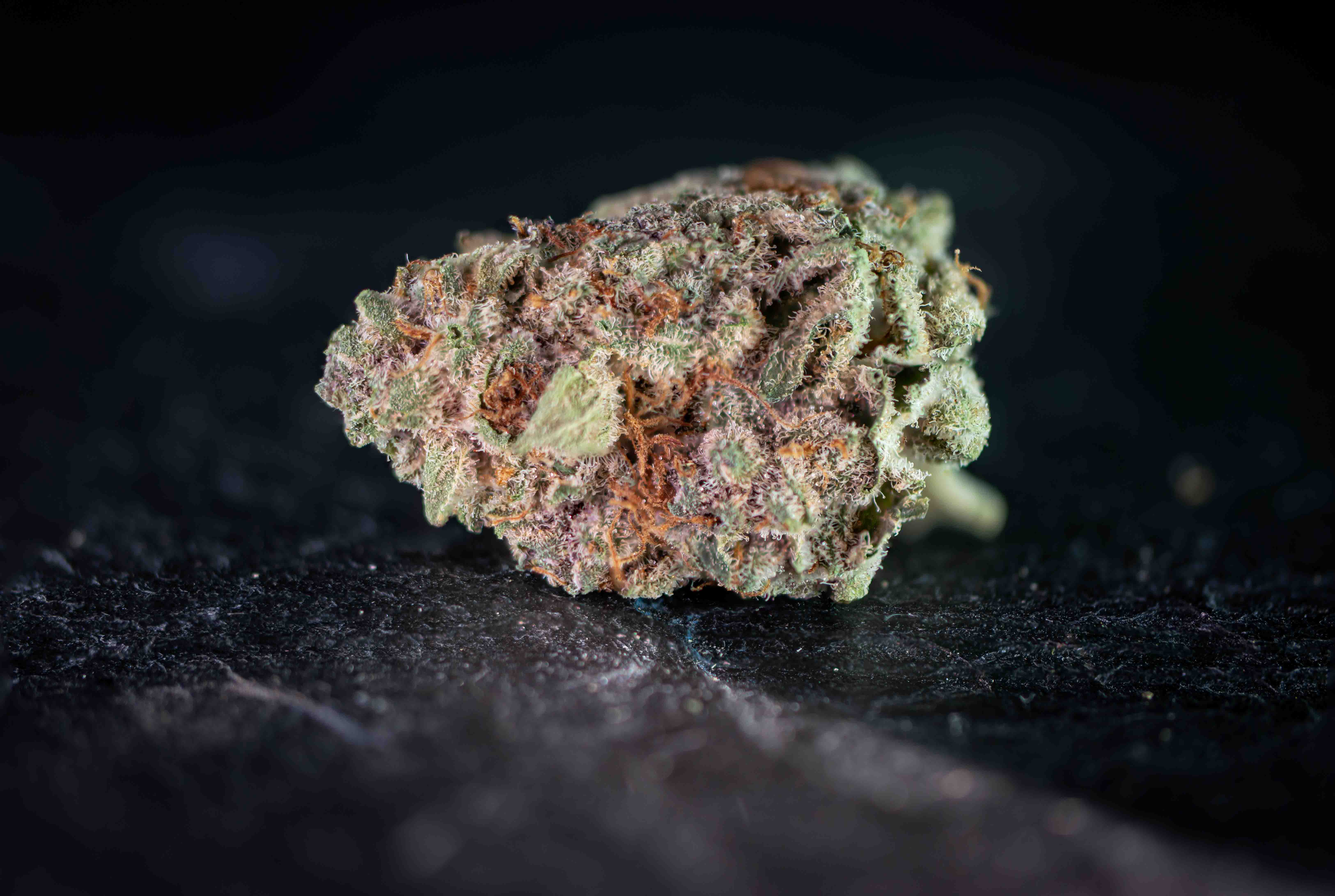 Cherry's Of The Grass by Growery cannabis strain